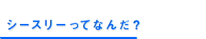 シースリーってなんだ？